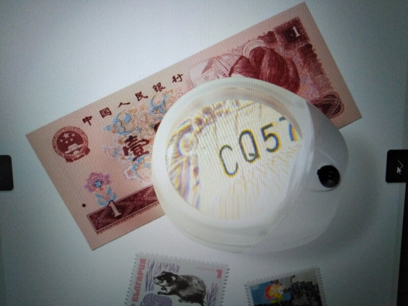 Lupa LUP 10