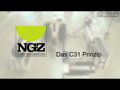 NGZ C31